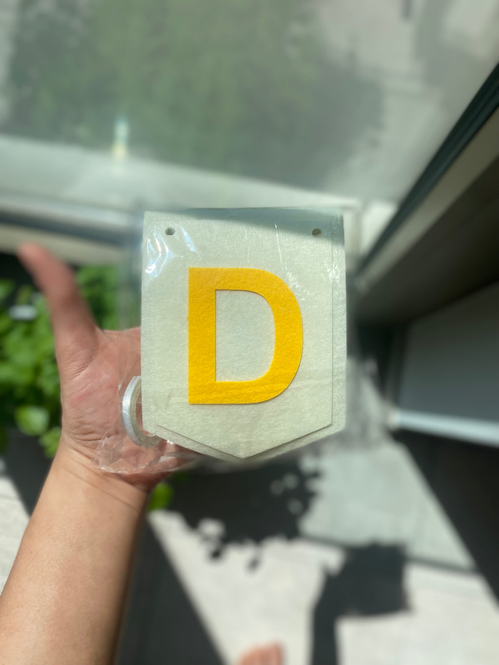 Dino Avontuur Box