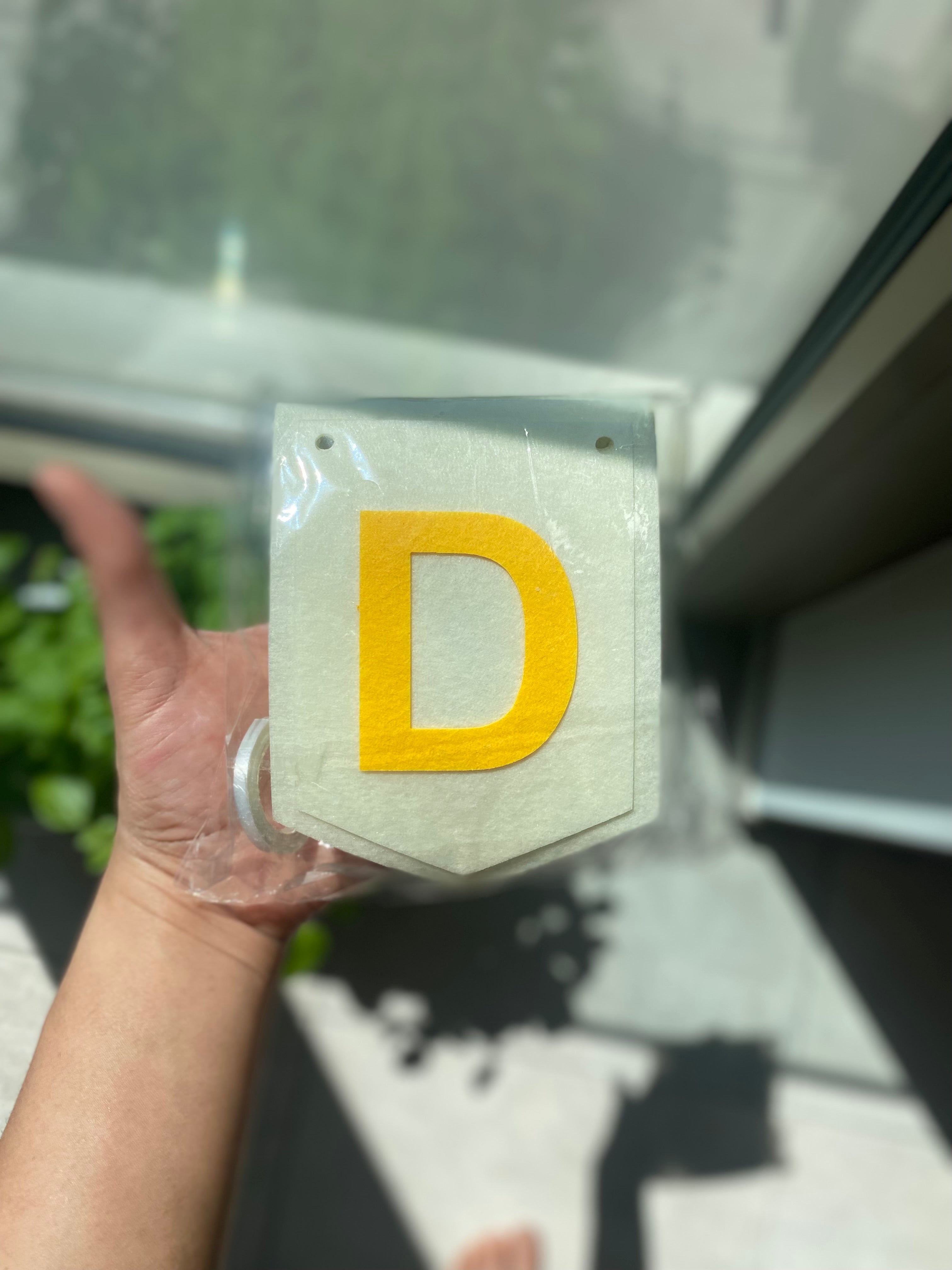Dino Avontuur Box