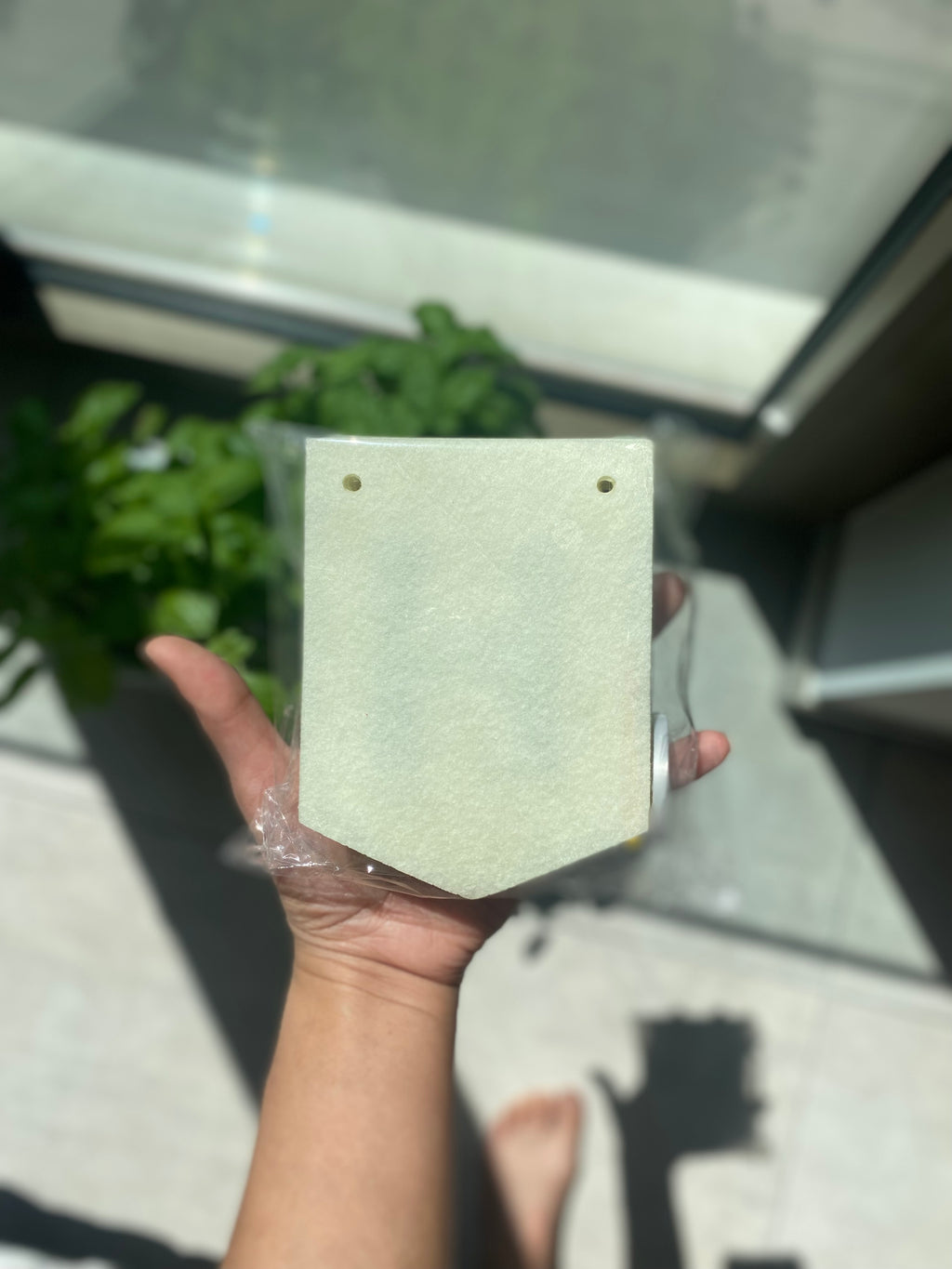 DINO ADVENTURE BOX 🦕