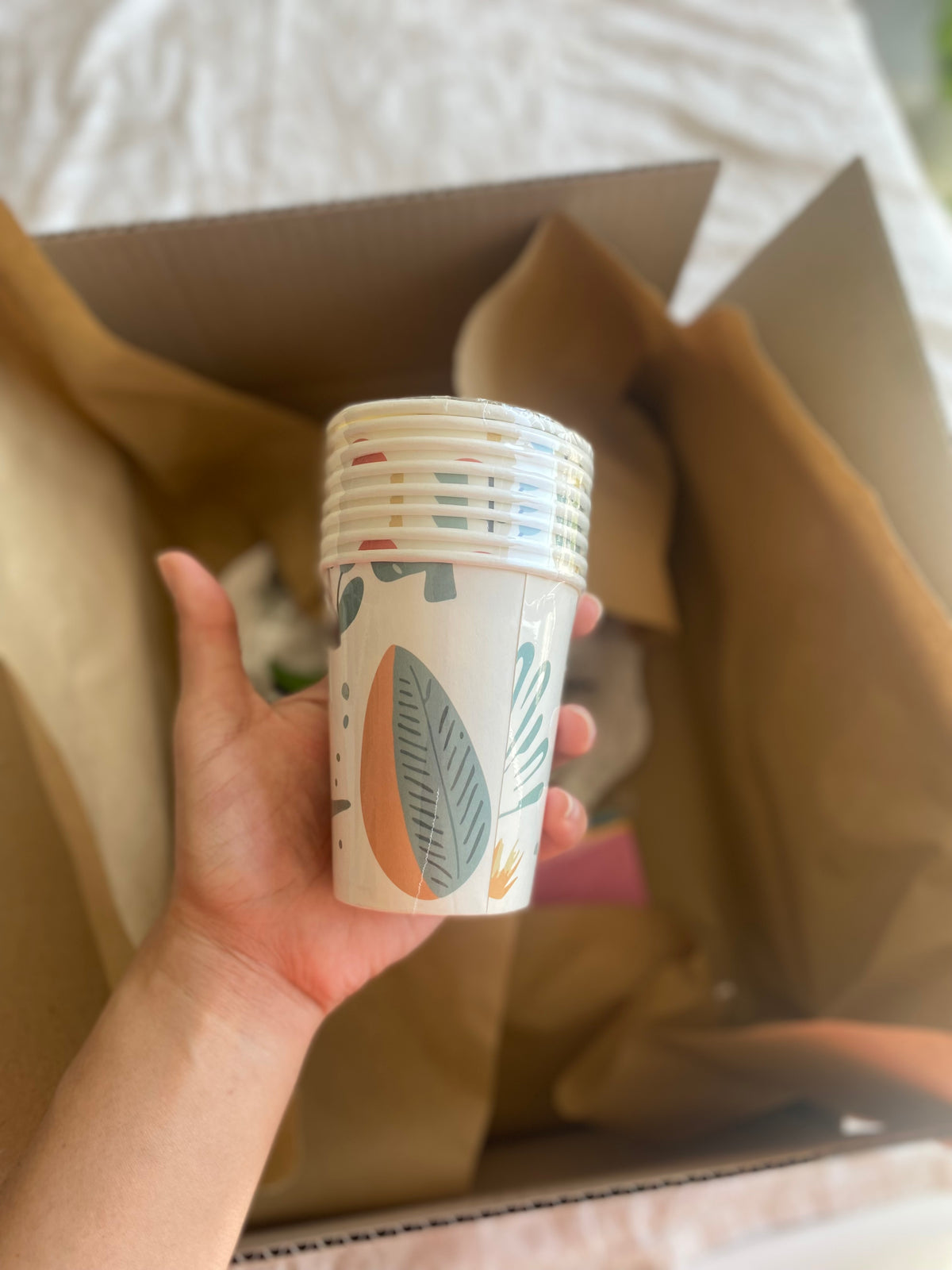 Dino Avontuur Box