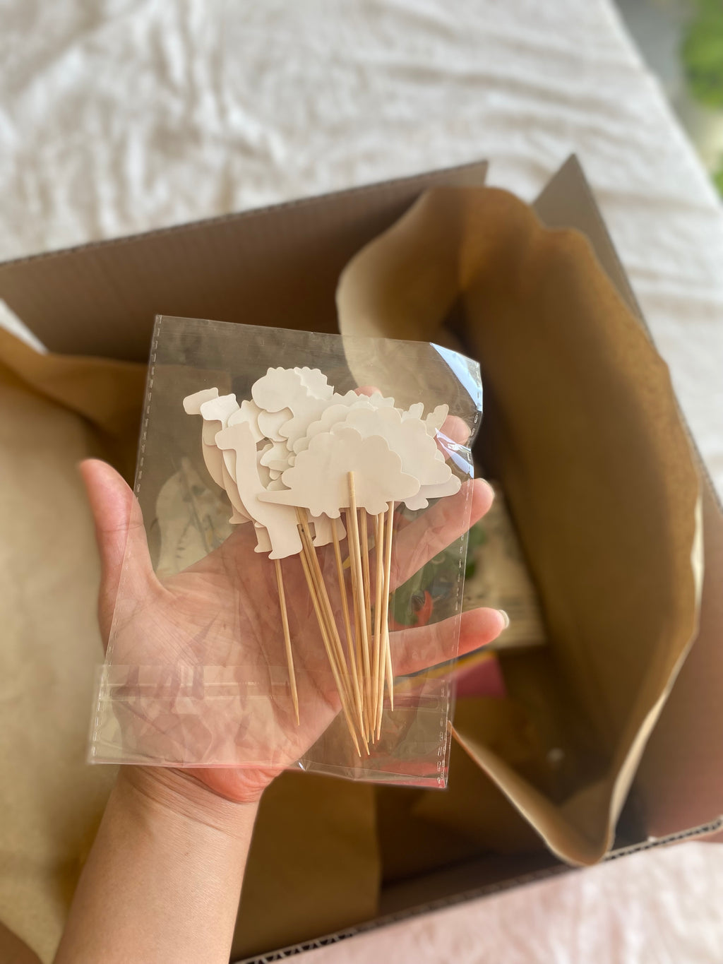DINO ADVENTURE BOX 🦕