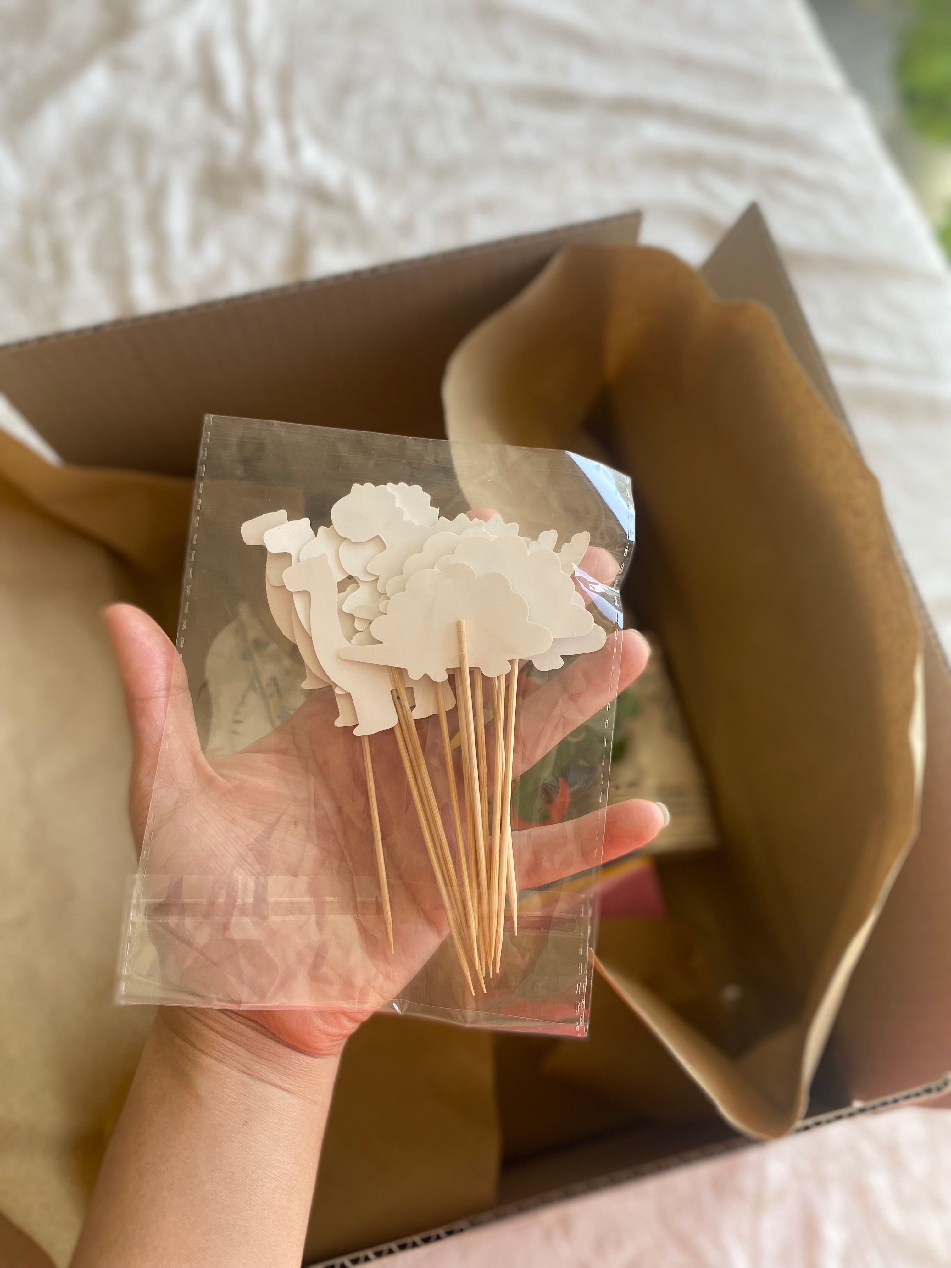 DINO ADVENTURE BOX 🦕