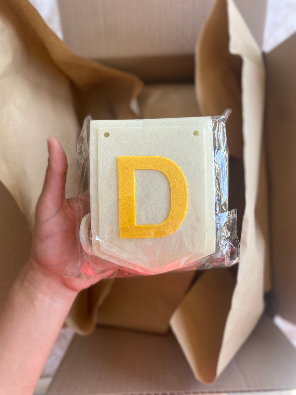 DINO ADVENTURE BOX 🦕