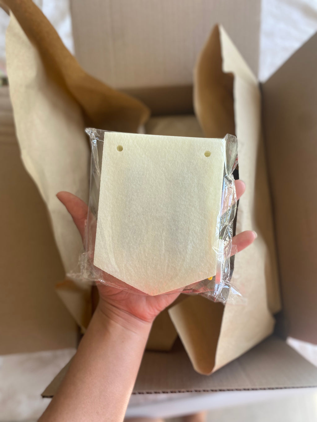 DINO ADVENTURE BOX 🦕